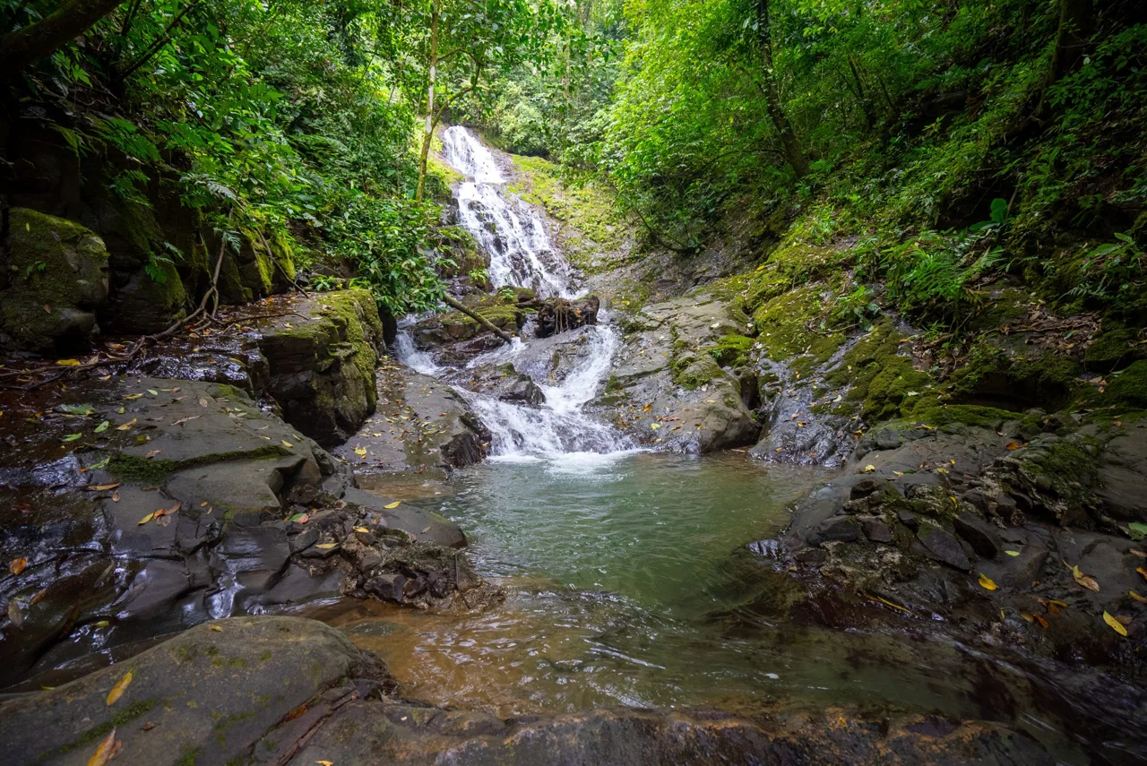 LUXURIOUS RETREAT WITH LARGE WATERFALL ON THE PROPERTY AND EXPANSIVE OCEAN VIEW – 12 ACRES, photo 3