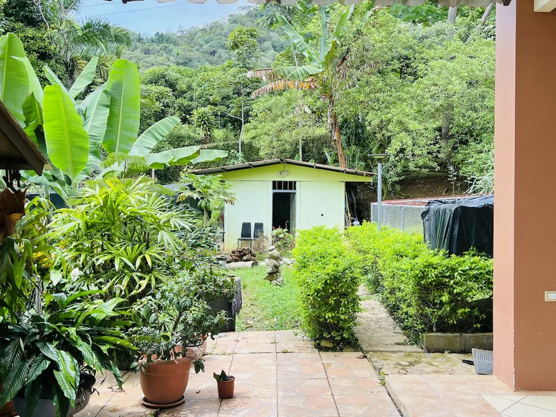 3 Bed Single Family Homes For Sale in Perez Zeledon, photo 11