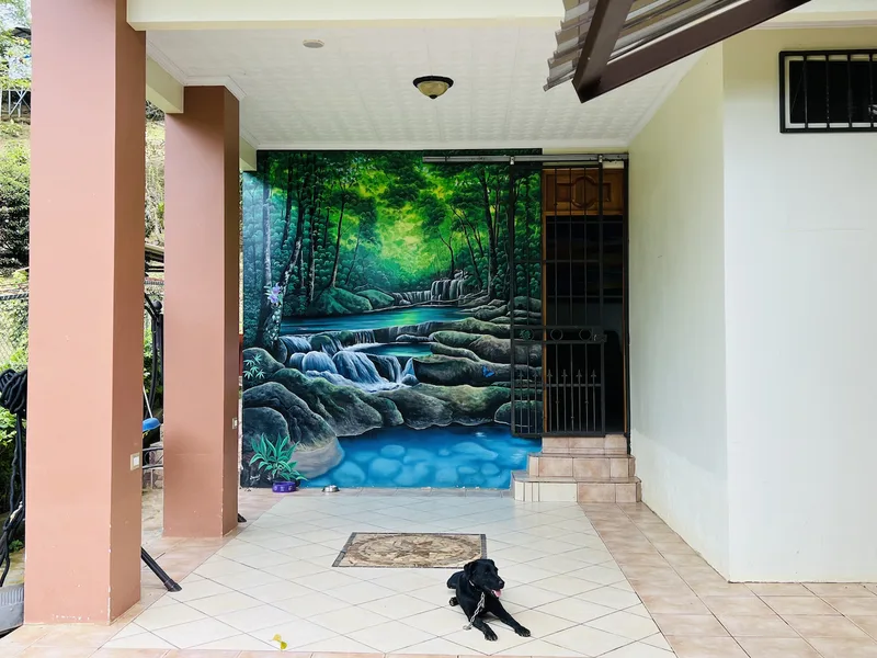 3 Bed Single Family Homes For Sale in Perez Zeledon, photo 6