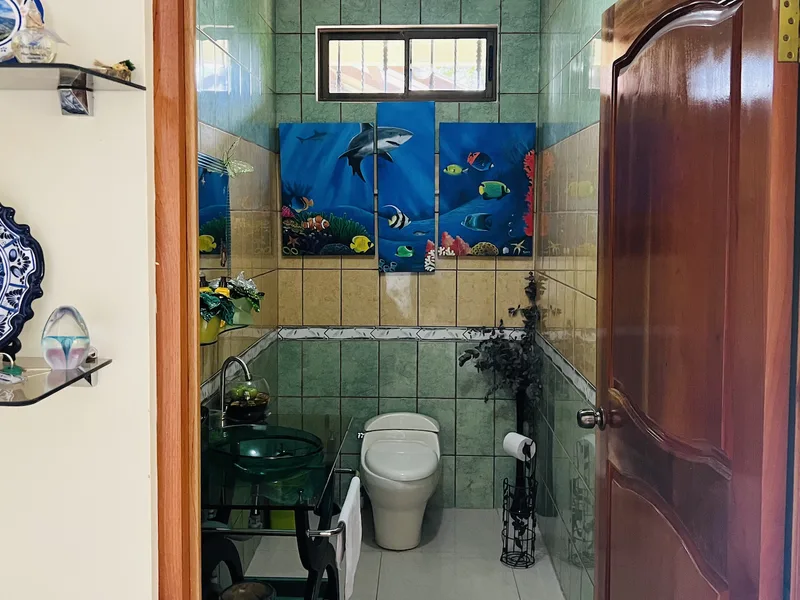 3 Bed Single Family Homes For Sale in Perez Zeledon, photo 10