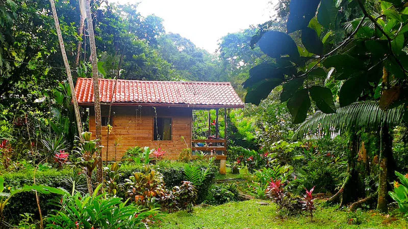 8 BEAUTIFUL CABINAS WITH POOL IN UVITA – 1.82 Acre, photo 21