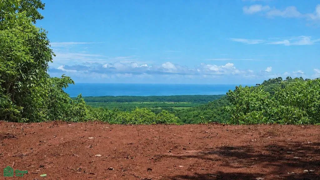 Quepos,, Puntarenas 60601