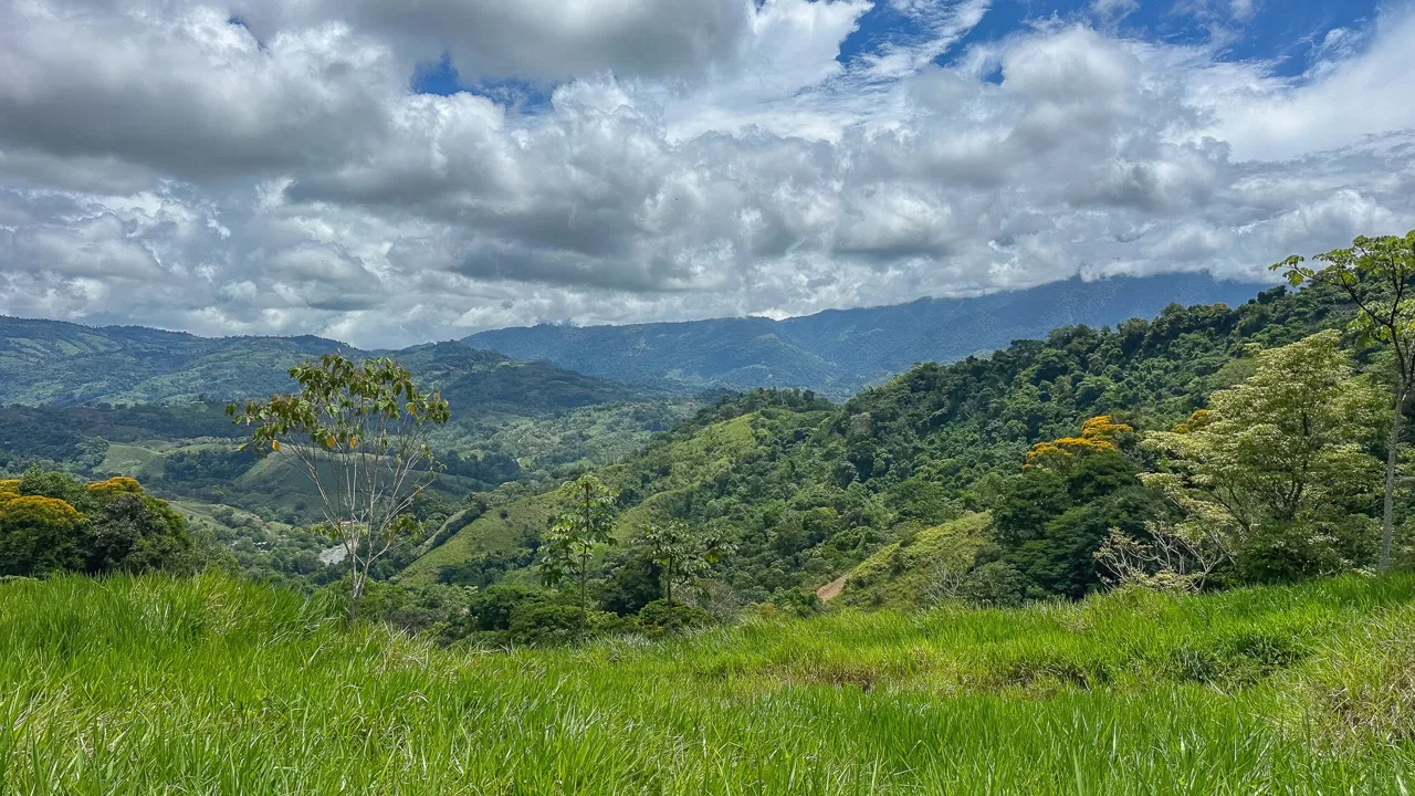 DEVELOPMENT PROPERTY WITH ONE BEDROOM HOUSE, IN THE HIGHEST OF PLATANILLO – 148 ACRES, photo 24