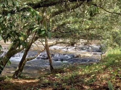 El paraiso de cataratas, photo 4