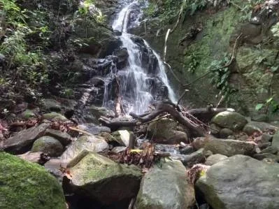 El paraiso de cataratas, photo 6