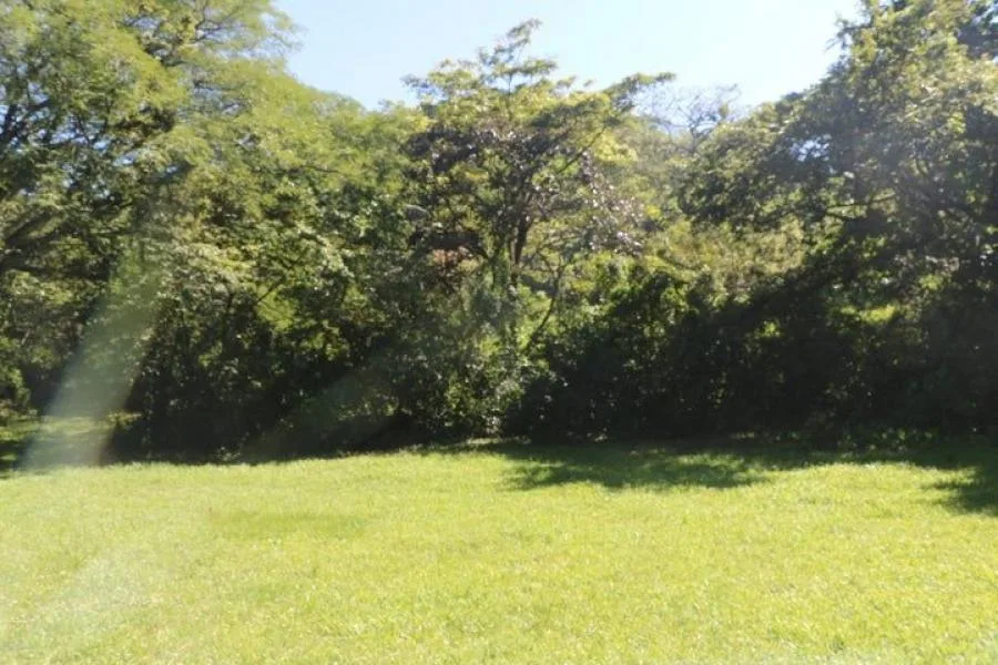 Venta de Amplio Lote en Santa Ana / Mls. 26-884 OFC JB - Venta en Santa Ana, photo 8