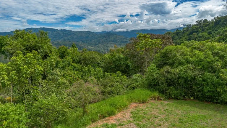 60+ Hectares in Platanillo | Own Your Own Mountain in Costa Rica, photo 2