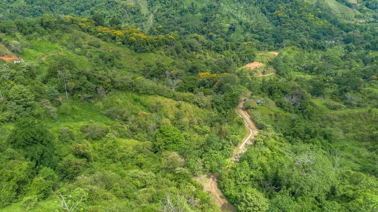 60+ Hectares in Platanillo | Own Your Own Mountain in Costa Rica, photo 11