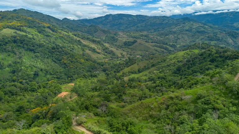 60+ Hectares in Platanillo | Own Your Own Mountain in Costa Rica, photo 12