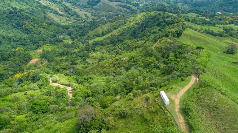60+ Hectares in Platanillo | Own Your Own Mountain in Costa Rica, photo 14