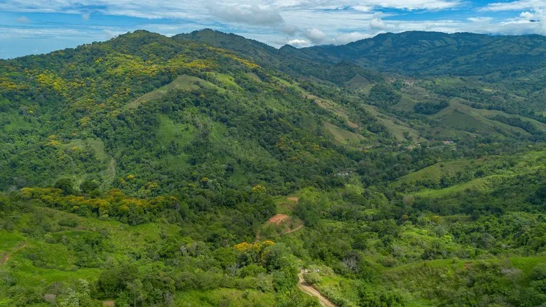60+ Hectares in Platanillo | Own Your Own Mountain in Costa Rica, photo 15