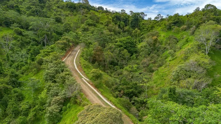 60+ Hectares in Platanillo | Own Your Own Mountain in Costa Rica, photo 3