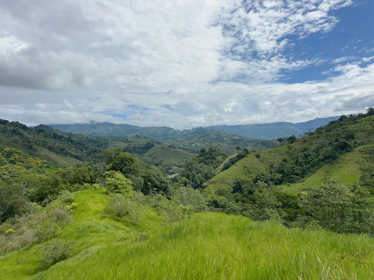 60+ Hectares in Platanillo | Own Your Own Mountain in Costa Rica, photo 4