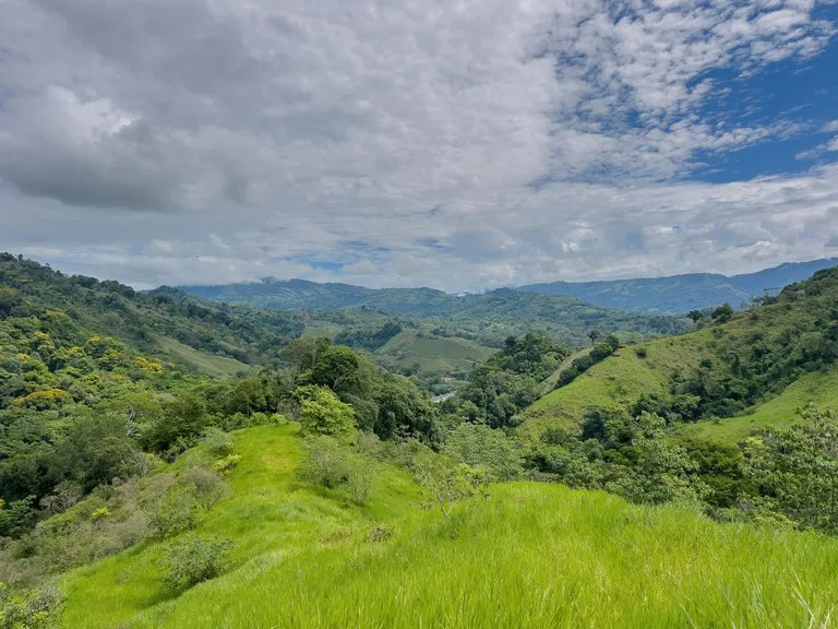 60+ Hectares in Platanillo | Own Your Own Mountain in Costa Rica, photo 6