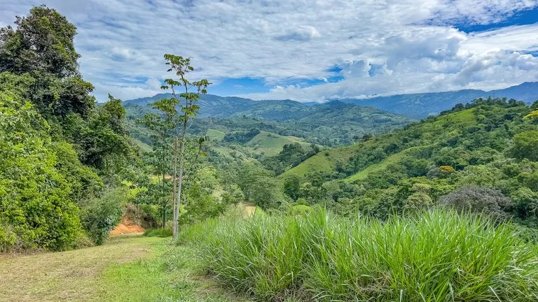 60+ Hectares in Platanillo | Own Your Own Mountain in Costa Rica, photo 8
