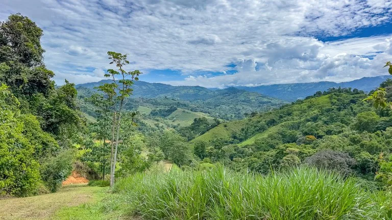 60+ Hectares in Platanillo | Own Your Own Mountain in Costa Rica, photo 10