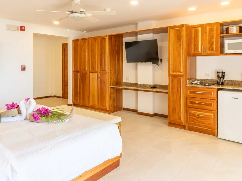 5 Bed Hotel / Leisure For Sale in Samara, photo 13