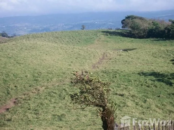 Land for Sale in Tilaran, Guanacaste for $81,750, photo 2