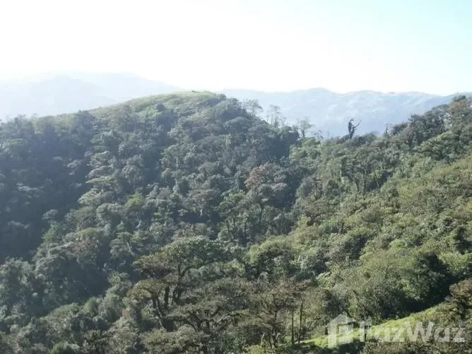 Land for Sale in Tilaran, Guanacaste for $81,750, photo 3