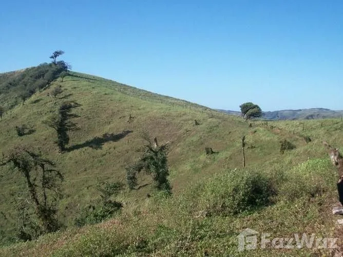 Land for Sale in Tilaran, Guanacaste for $81,750, photo 4