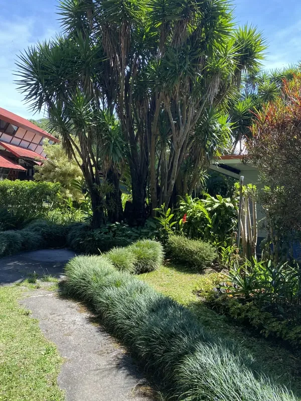 Comfortable 35 m² studio apartment for one occupant, surrounded by spacious gardens in a peaceful natural setting.
