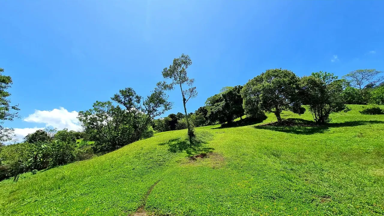3 Lot’s available (2 for sale) – Location: San Antonio de Escazú – Many Million dollar villas close by – Exclusive and private – Safe gated community (3 parties) – Park ..., photo 3