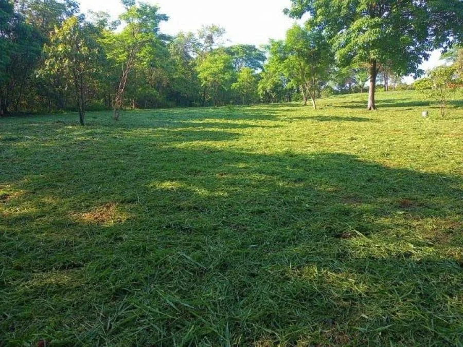 MLS-26-1028 LS VENTA LOTE OROTINA ALAJUELA - Venta en Orotina