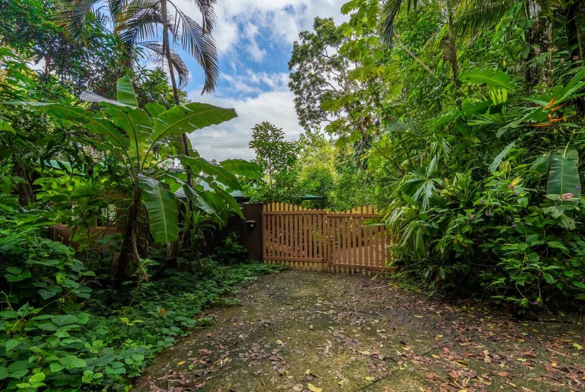 COMMERCIAL PROPERTY WITH TWO BEDROOMS A STEPS OF THE NAUYACA WATERFALL – 4.94 ACRES, photo 4