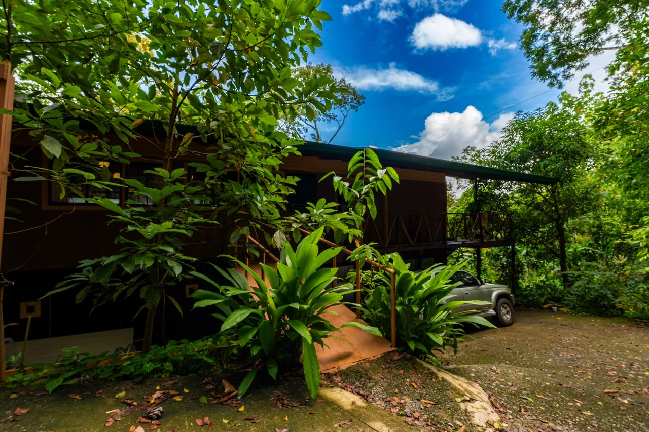 COMMERCIAL PROPERTY WITH TWO BEDROOMS A STEPS OF THE NAUYACA WATERFALL – 4.94 ACRES, photo 7