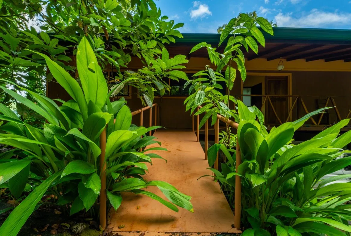 COMMERCIAL PROPERTY WITH TWO BEDROOMS A STEPS OF THE NAUYACA WATERFALL – 4.94 ACRES, photo 10