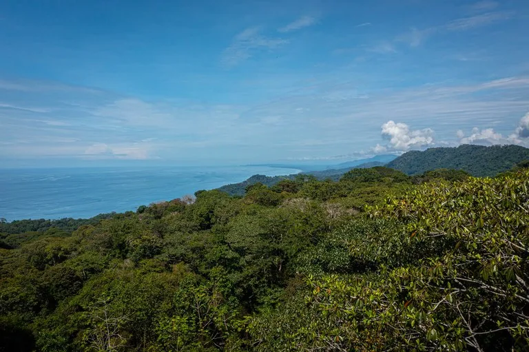 MULTI-USE PROPERTY RESIDENTIAL/HOTEL/COMMERCIAL UVITA, photo 27