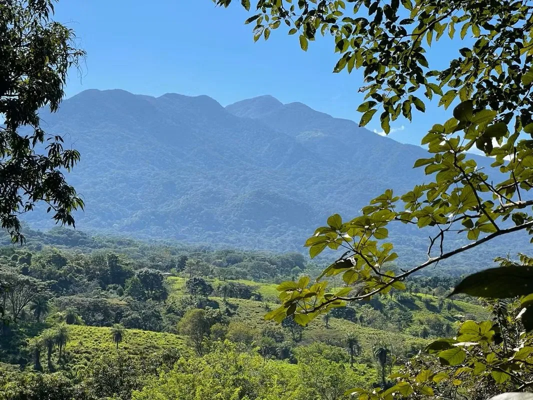 Terreno Lote 5.7 Hectáreas con Vistas Panorámicas - Venta en Turrubares