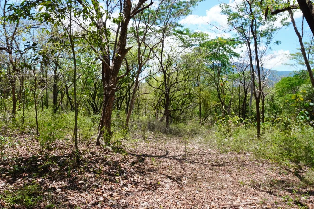 Terreno Lote 5.7 Hectáreas con Vistas Panorámicas - Venta en Turrubares, photo 4
