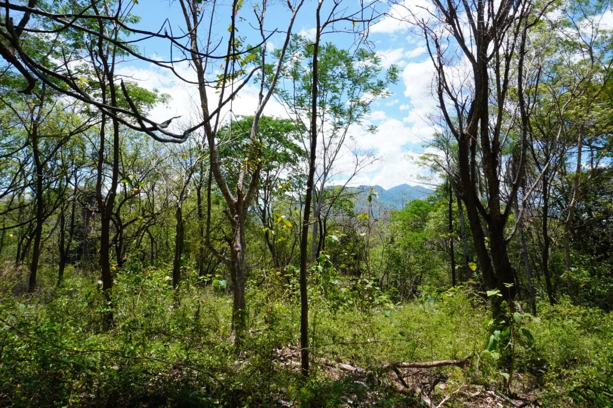 Terreno Lote 5.7 Hectáreas con Vistas Panorámicas - Venta en Turrubares, photo 6