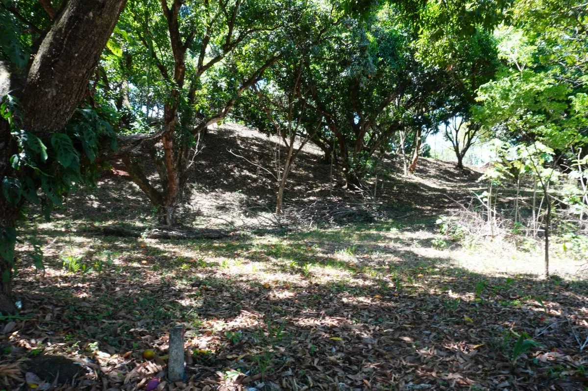 Terreno Lote 5.7 Hectáreas con Vistas Panorámicas - Venta en Turrubares, photo 7