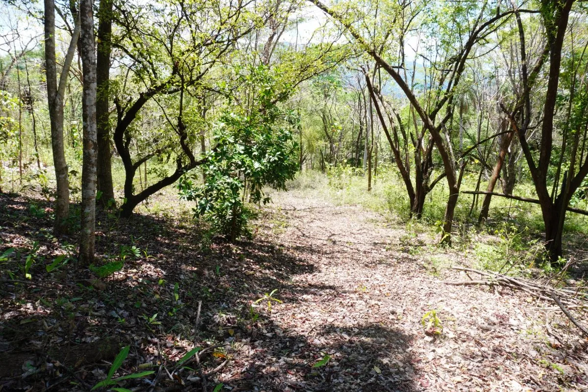 Terreno Lote 5.7 Hectáreas con Vistas Panorámicas - Venta en Turrubares, photo 8