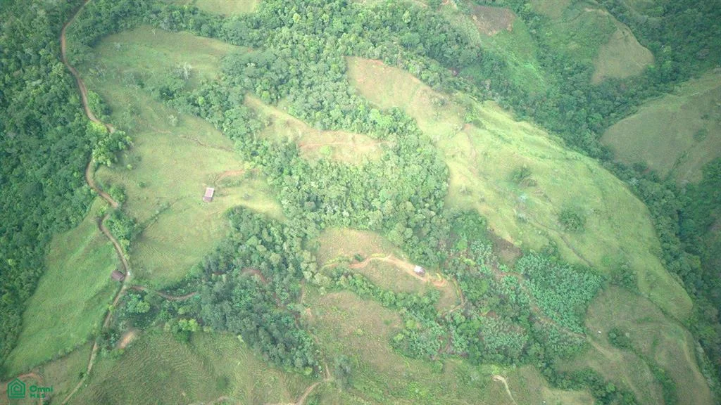 74.25 ACRES – ¡Una exclusiva finca a orillas del río con manantiales cristalinos!!!, photo 6