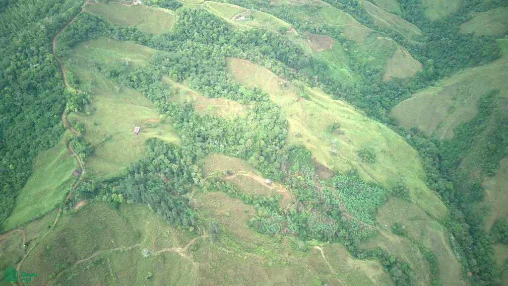 74.25 ACRES – ¡Una exclusiva finca a orillas del río con manantiales cristalinos!!!, photo 7