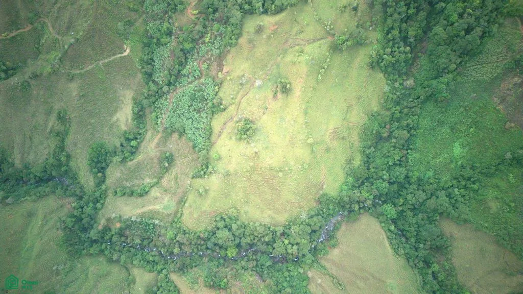 74.25 ACRES – ¡Una exclusiva finca a orillas del río con manantiales cristalinos!!!, photo 8