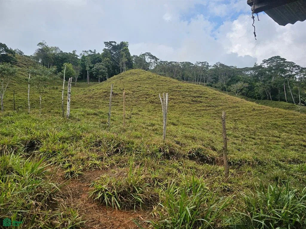 74.25 ACRES – ¡Una exclusiva finca a orillas del río con manantiales cristalinos!!!, photo 9