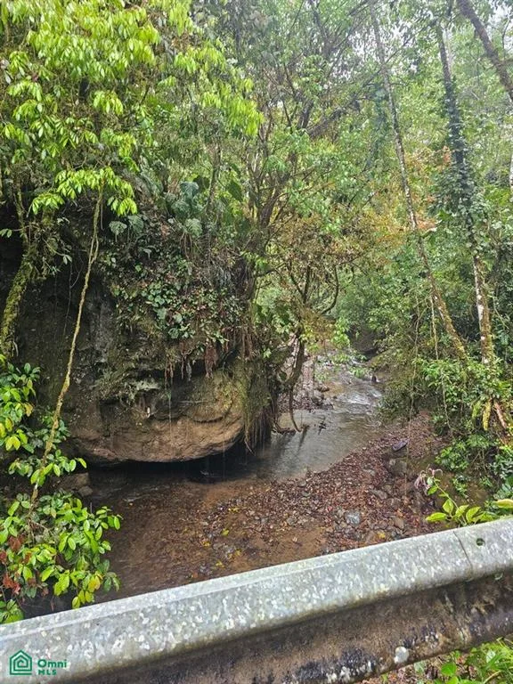 74.25 ACRES – ¡Una exclusiva finca a orillas del río con manantiales cristalinos!!!, photo 10