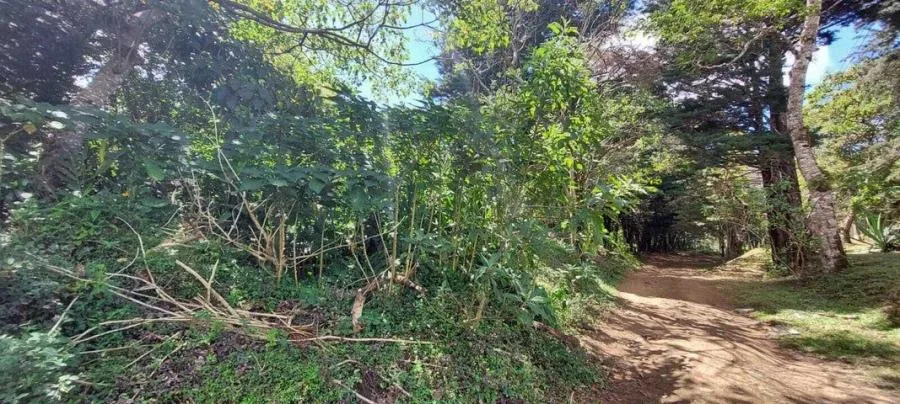 Venta de lote en San Rafael de Montes de Oca - Venta en Montes de Oca, photo 11