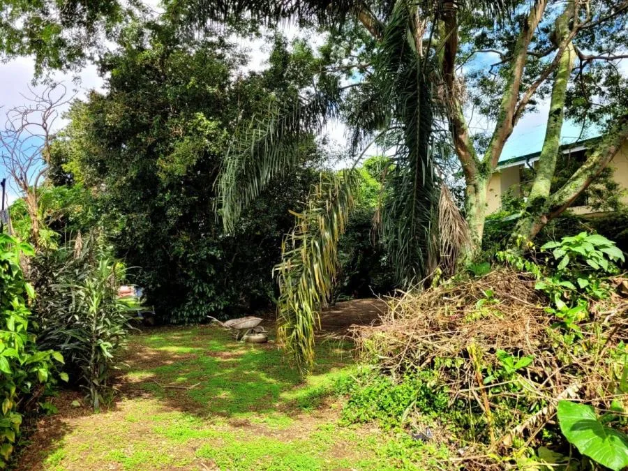 Venta de lote en San Rafael de Montes de Oca - Venta en Montes de Oca, photo 5
