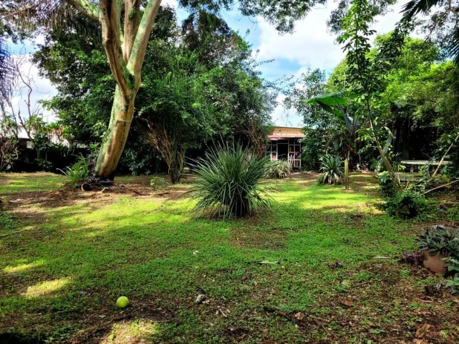 Venta de lote en San Rafael de Montes de Oca - Venta en Montes de Oca, photo 6
