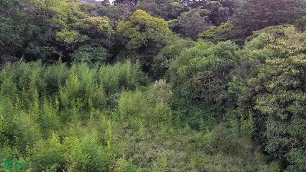 San Rafael Heredia, Concepción, Heredia 40501