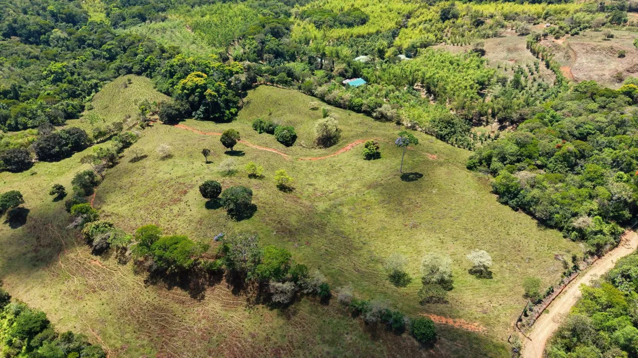 71-Acre Investment Property in Costa Rica with Mountain Views and Water Rights, photo 11
