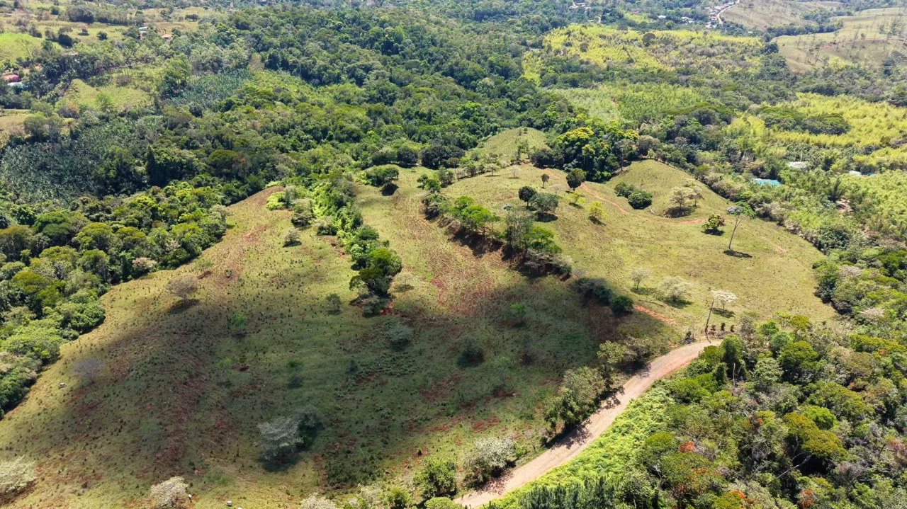 71-Acre Investment Property in Costa Rica with Mountain Views and Water Rights, photo 12