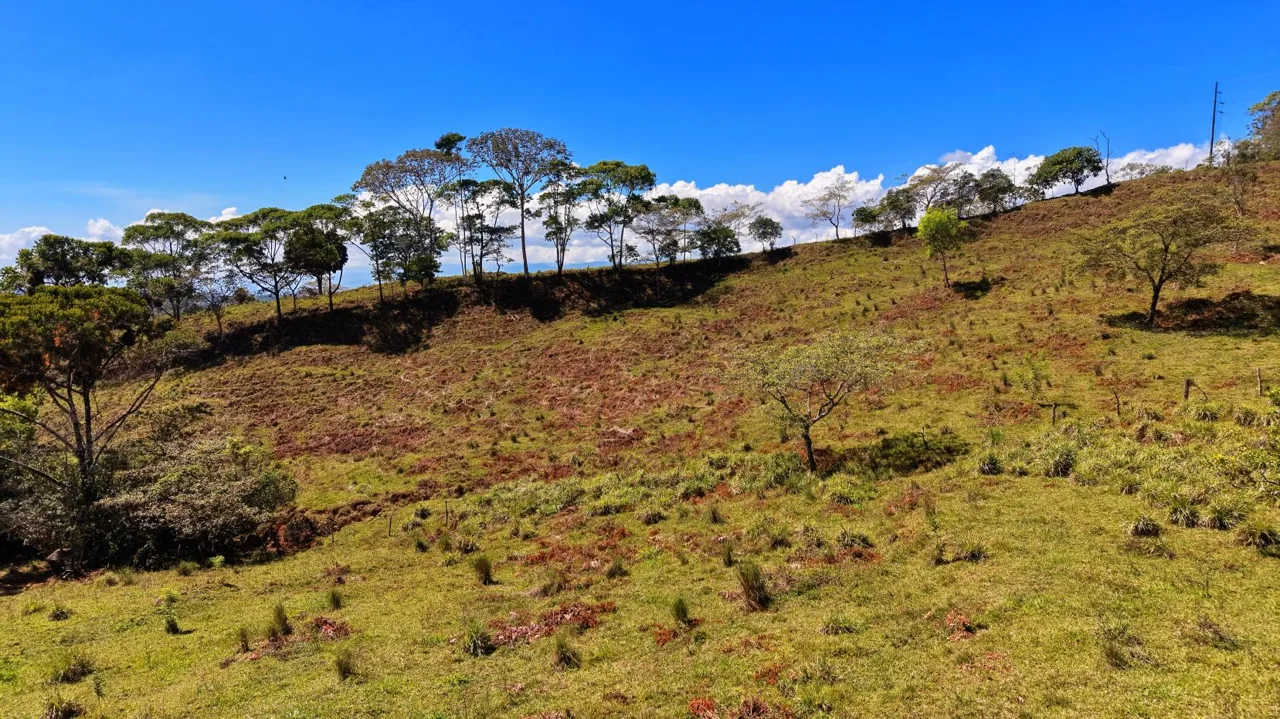 71-Acre Investment Property in Costa Rica with Mountain Views and Water Rights, photo 13