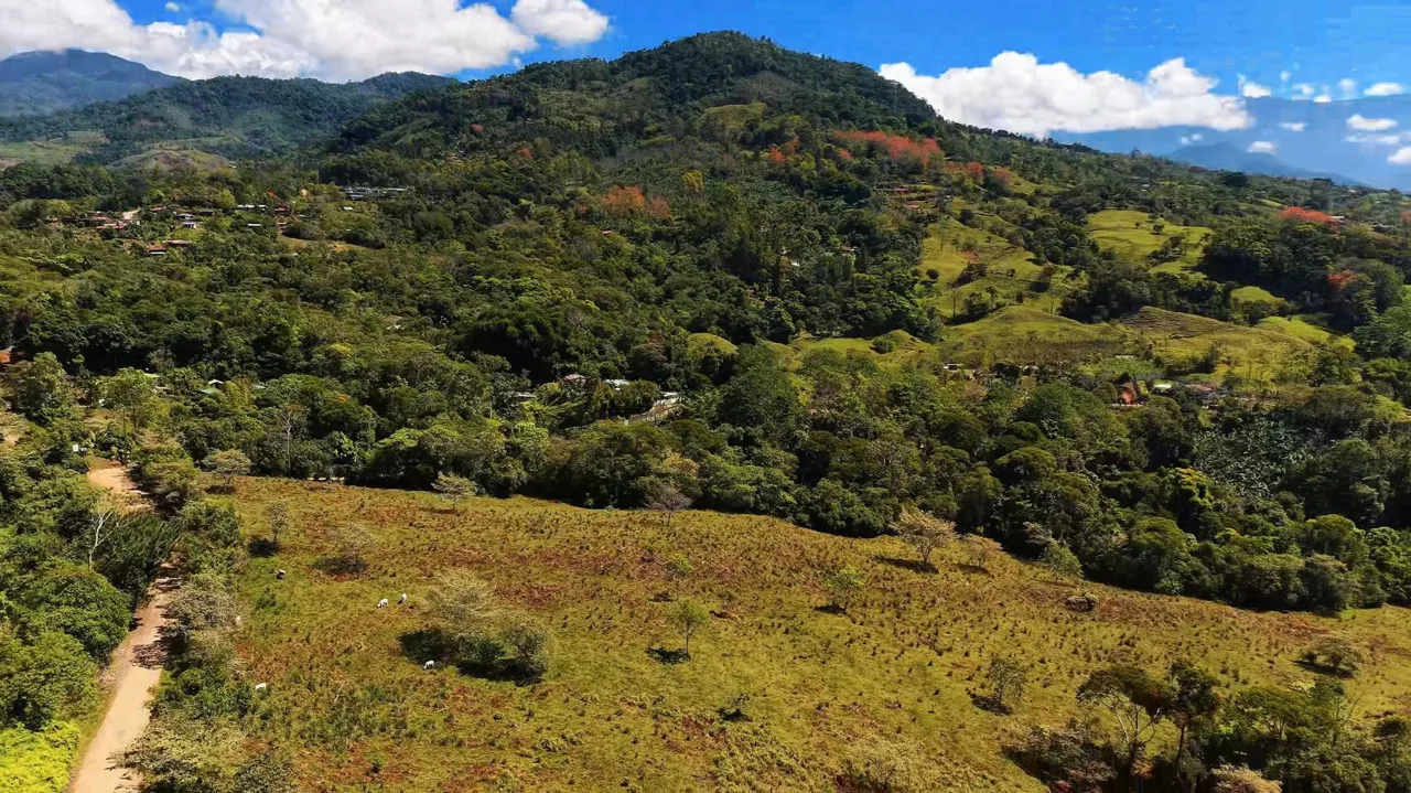 71-Acre Investment Property in Costa Rica with Mountain Views and Water Rights, photo 14