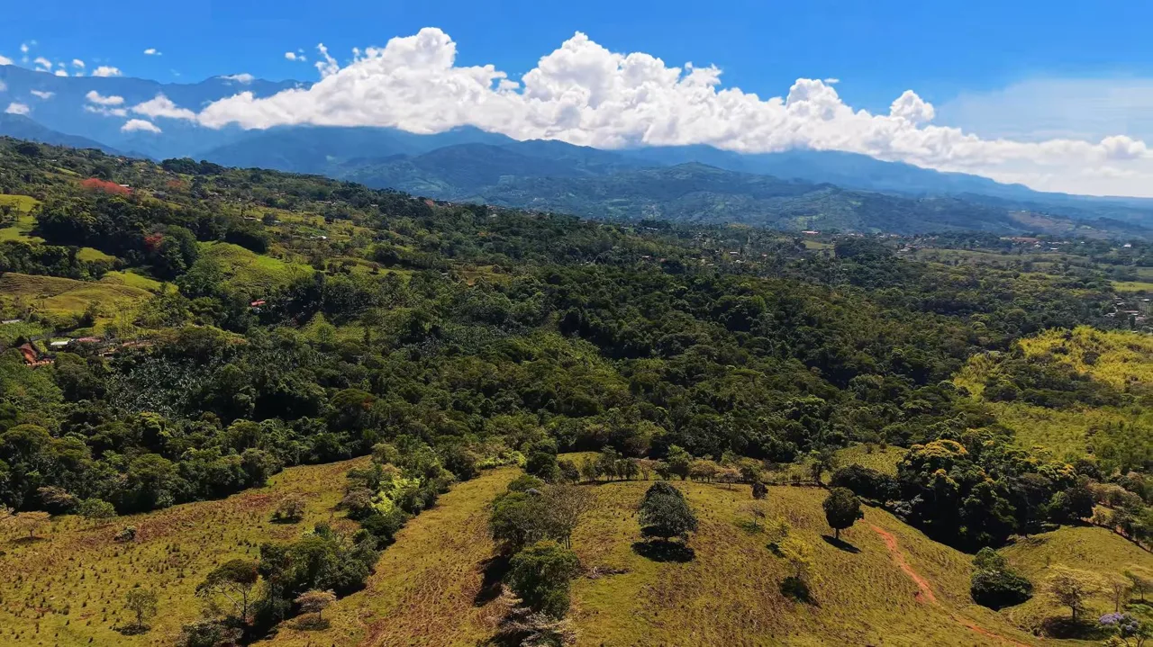 71-Acre Investment Property in Costa Rica with Mountain Views and Water Rights, photo 15